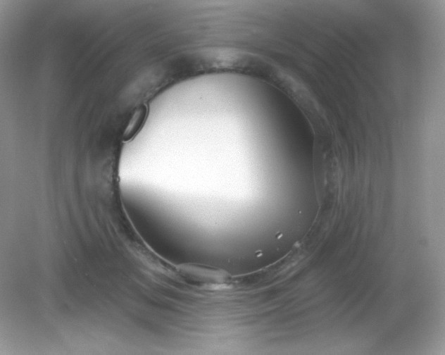 X0000082160509200702021704