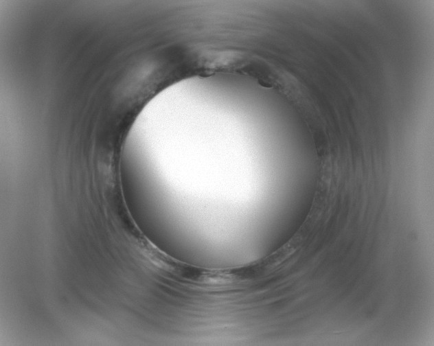 X0000082160510200702021704