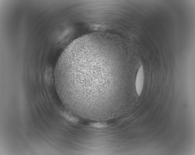 X0000082160511200702021704