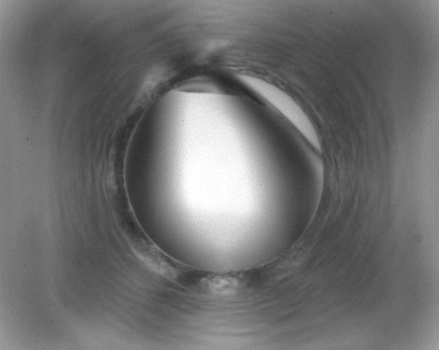 X0000082160512200702021704