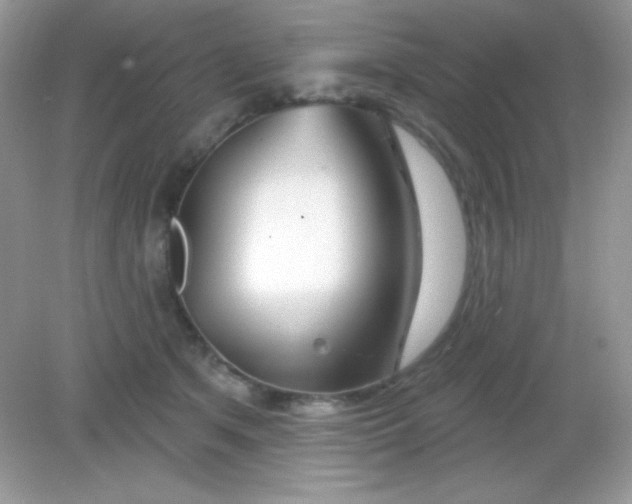 X0000082160513200702021704