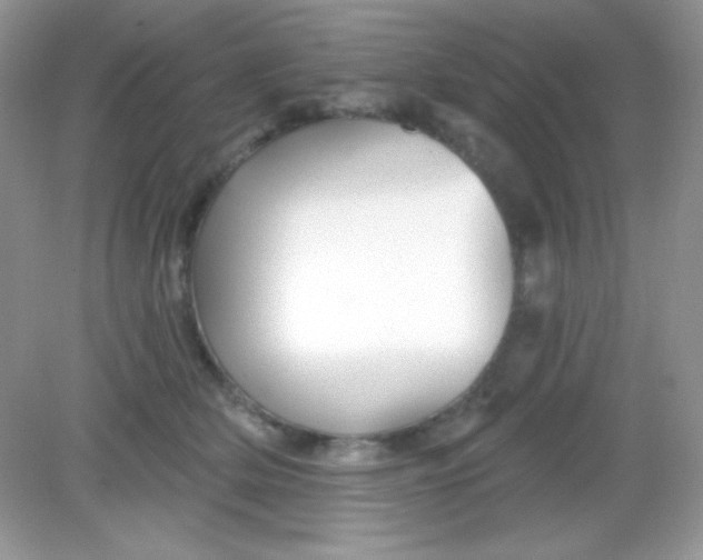 X0000082160514200702021704