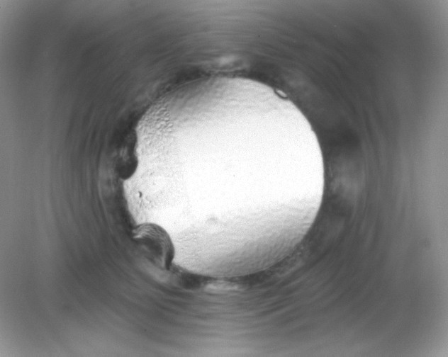 X0000082160515200702021704