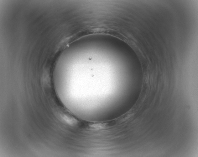 X0000082160516200702021704