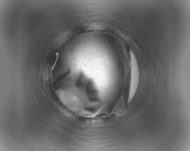 X0000082160517200702021704