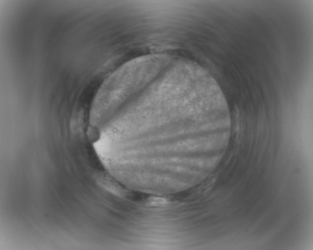 X0000082160519200702021704