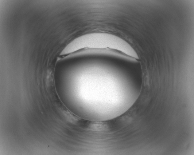 X0000082160521200702021704