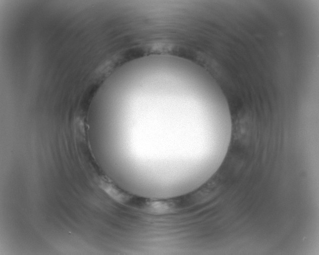 X0000082160522200702021704