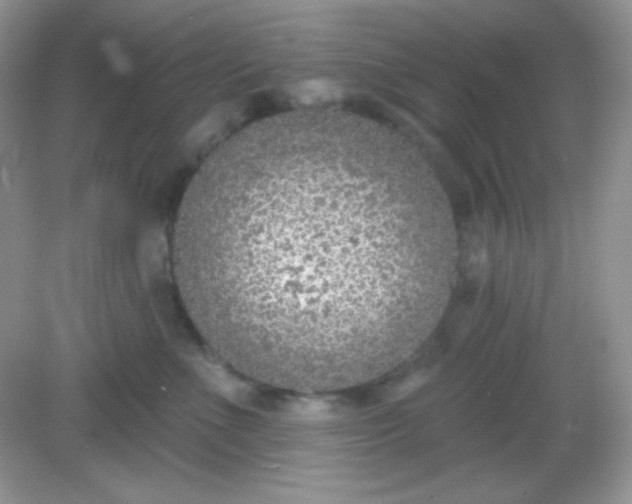 X0000082160523200702021704