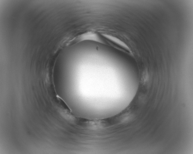 X0000082160524200702021704