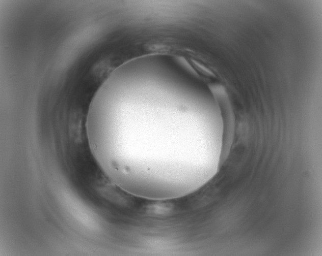 X0000082160525200702021704