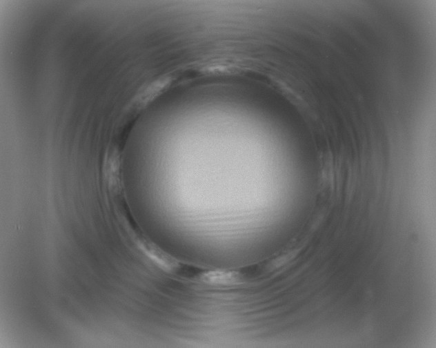 X0000082160526200702021704