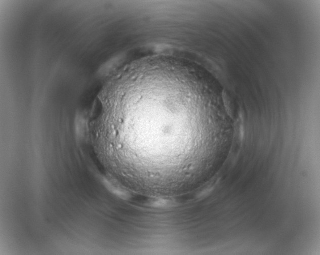 X0000082160527200702021704