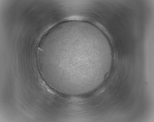 X0000082160529200702021703