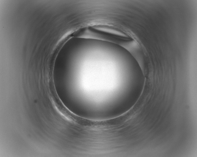 X0000082160530200702021703