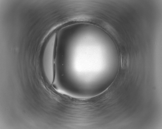 X0000082160531200702021703