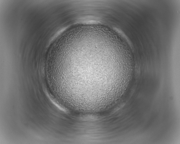 X0000082160533200702021703