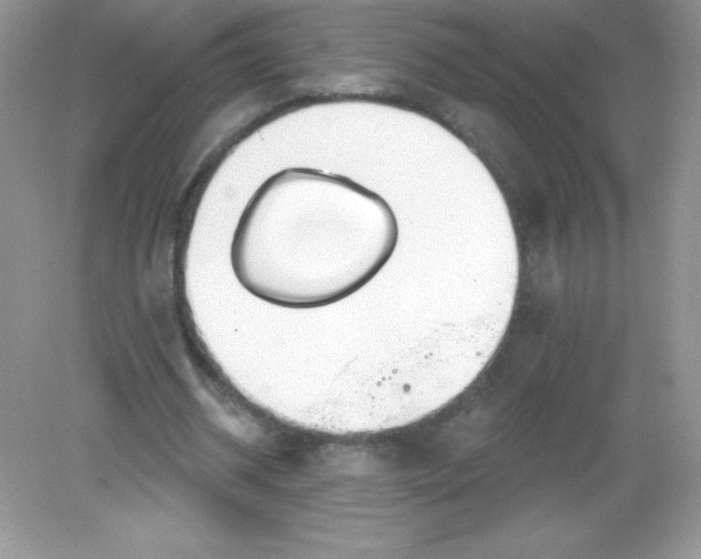 X0000082160534200702021703