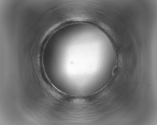 X0000082160535200702021703