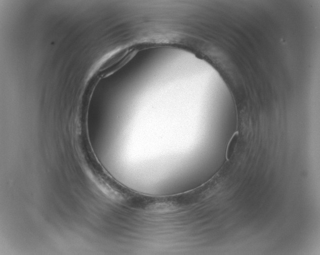 X0000082160536200702021703