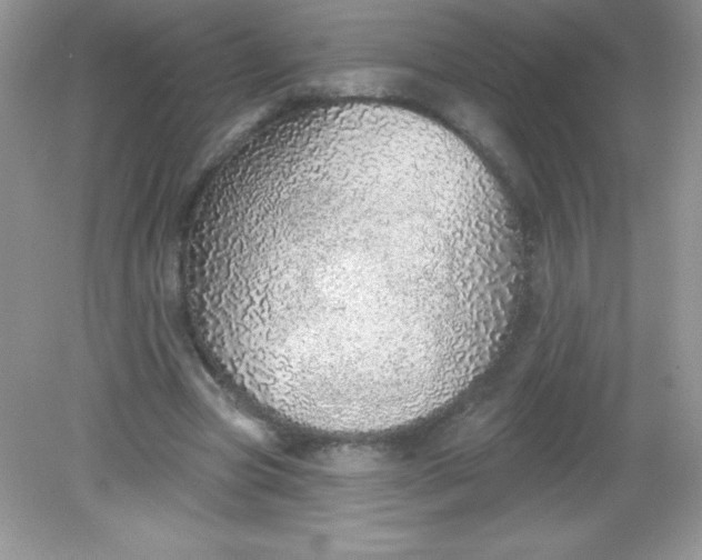 X0000082160537200702021703