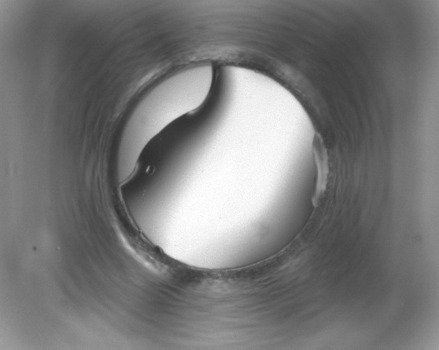 X0000082160538200702021703