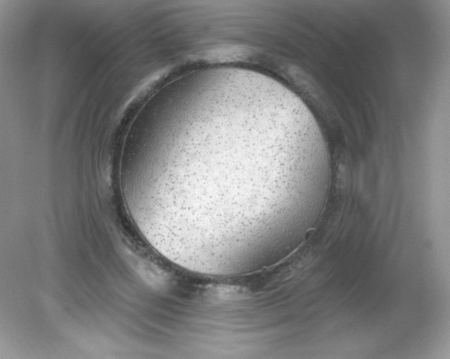 X0000082160539200702021703