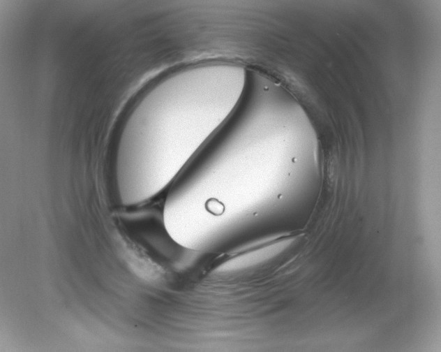 X0000082160540200702021703