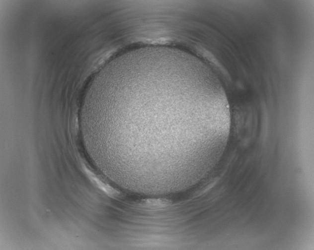 X0000082160541200702021703