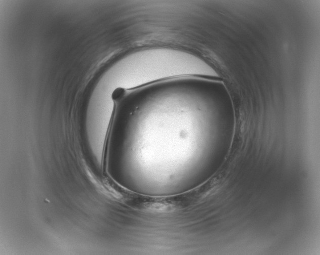 X0000082160542200702021703