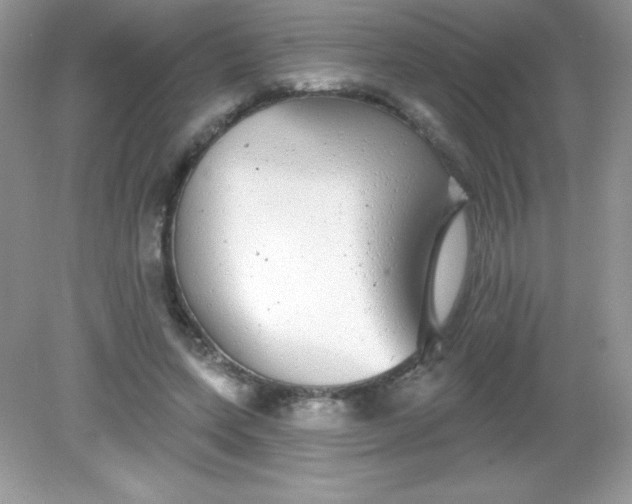 X0000082160543200702021703