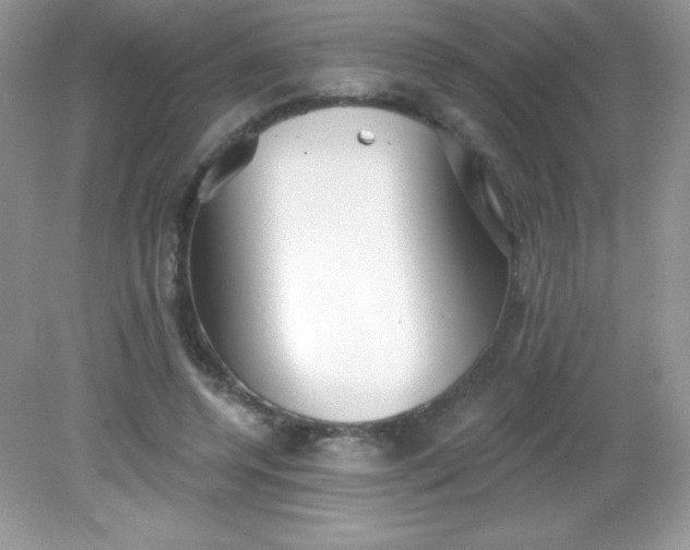 X0000082160544200702021703