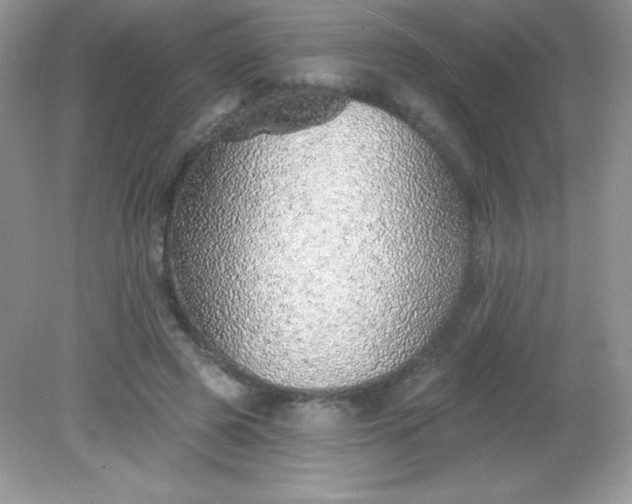 X0000082160545200702021703