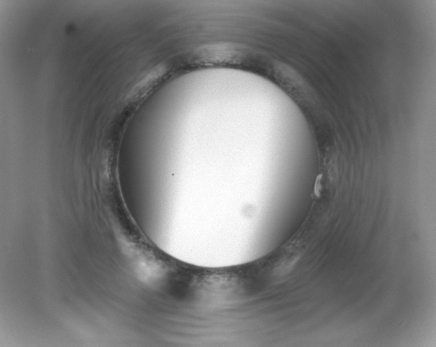 X0000082160546200702021703