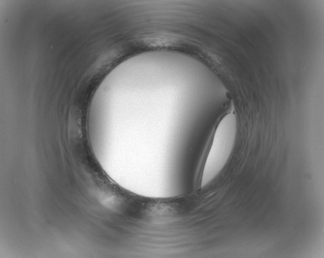 X0000082160547200702021703