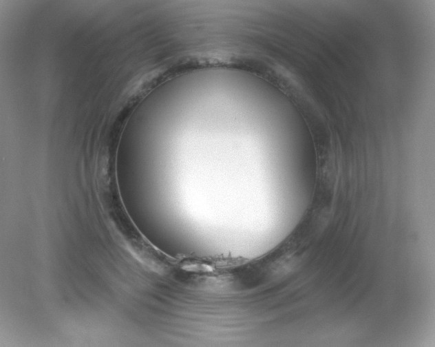 X0000082160548200702021703