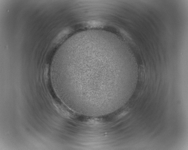 X0000082160550200702021703