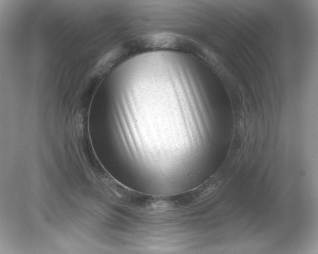 X0000082160551200702021703