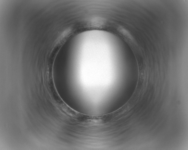 X0000082160552200702021703