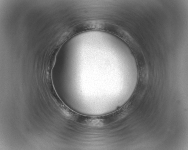 X0000082160553200702021703