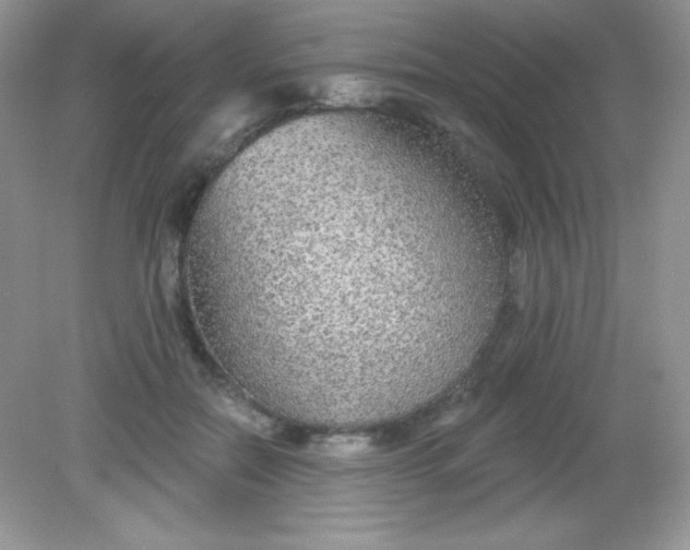 X0000082160554200702021703