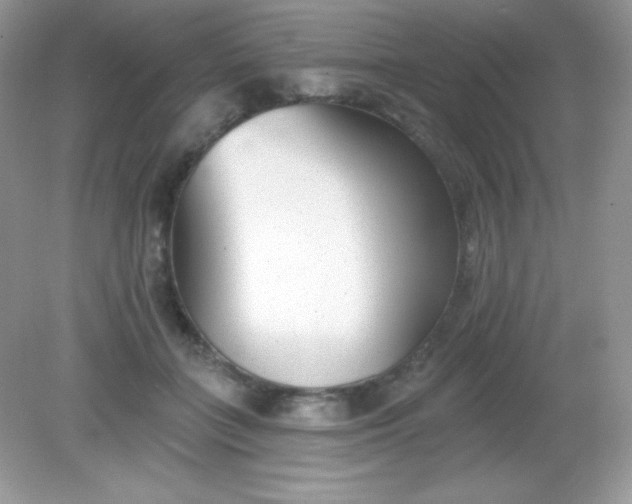 X0000082160555200702021703