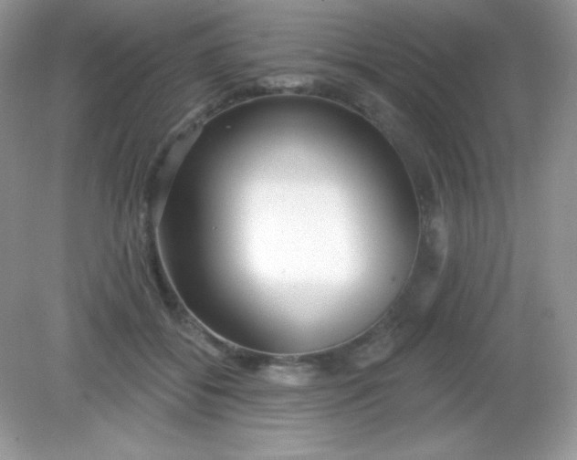 X0000082160556200702021703