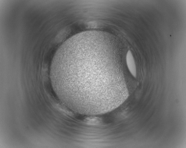 X0000082160557200702021703