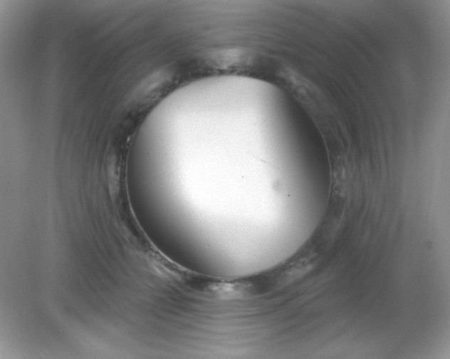 X0000082160558200702021704