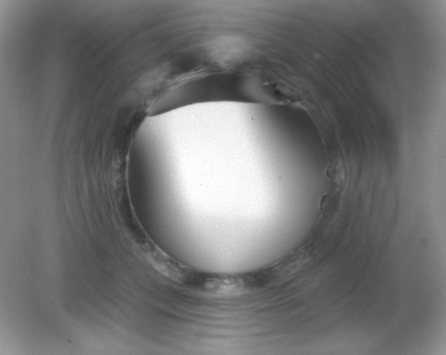 X0000082160559200702021704