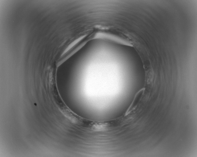 X0000082160560200702021704