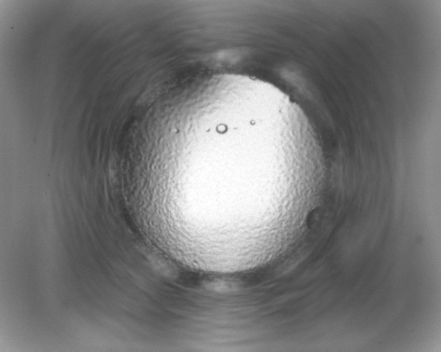 X0000082160561200702021704