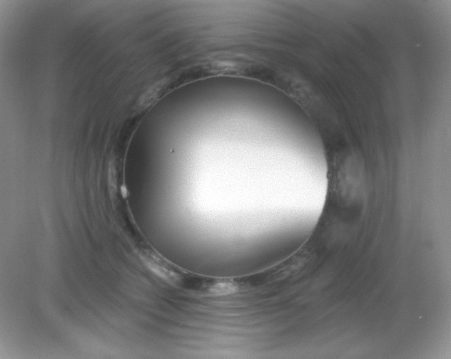 X0000082160562200702021704