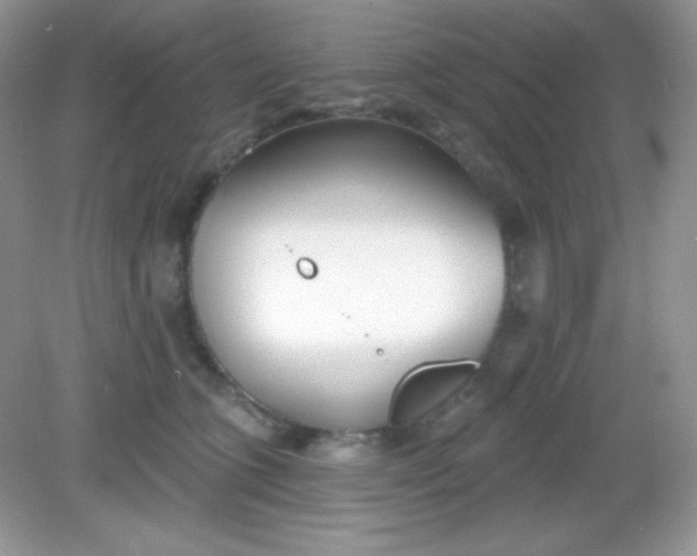 X0000082160563200702021704